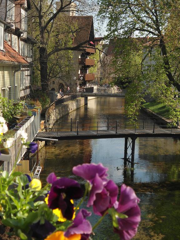 Appartement Altstadtapartment An Der Kraemerbruecke Erfurt