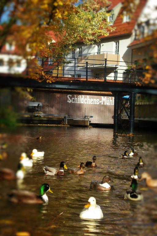 Altstadtapartment An Der Kraemerbruecke Erfurt
